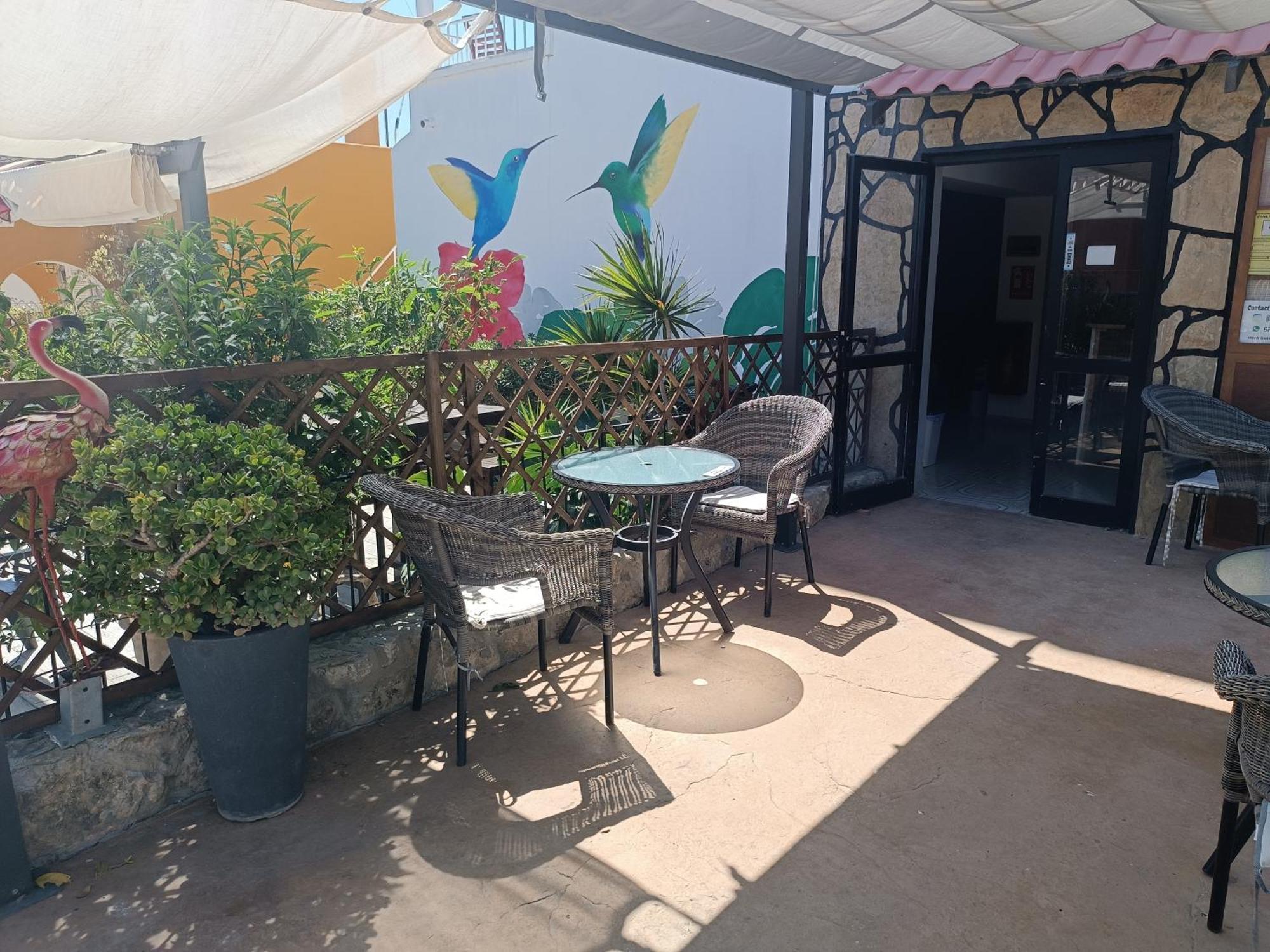 Hostal Belgica Palma Nova  Bagian luar foto